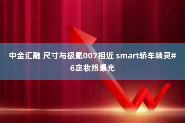 中金汇融 尺寸与极氪007相近 smart轿车精灵#6定妆照曝光