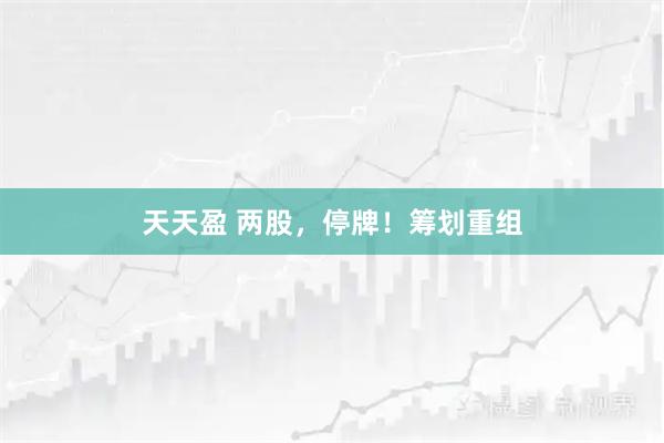 天天盈 两股，停牌！筹划重组