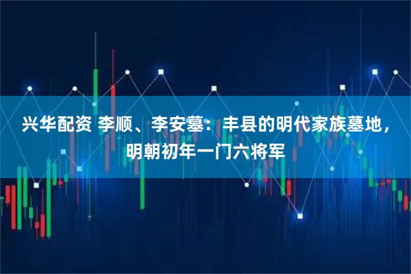 兴华配资 李顺、李安墓：丰县的明代家族墓地，明朝初年一门六将军