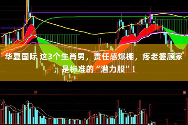华夏国际 这3个生肖男，责任感爆棚，疼老婆顾家，是标准的“潜力股”！